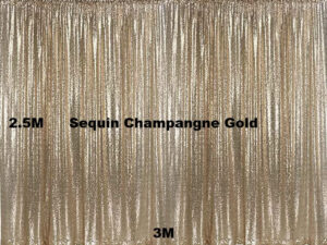 sequin champangne gold